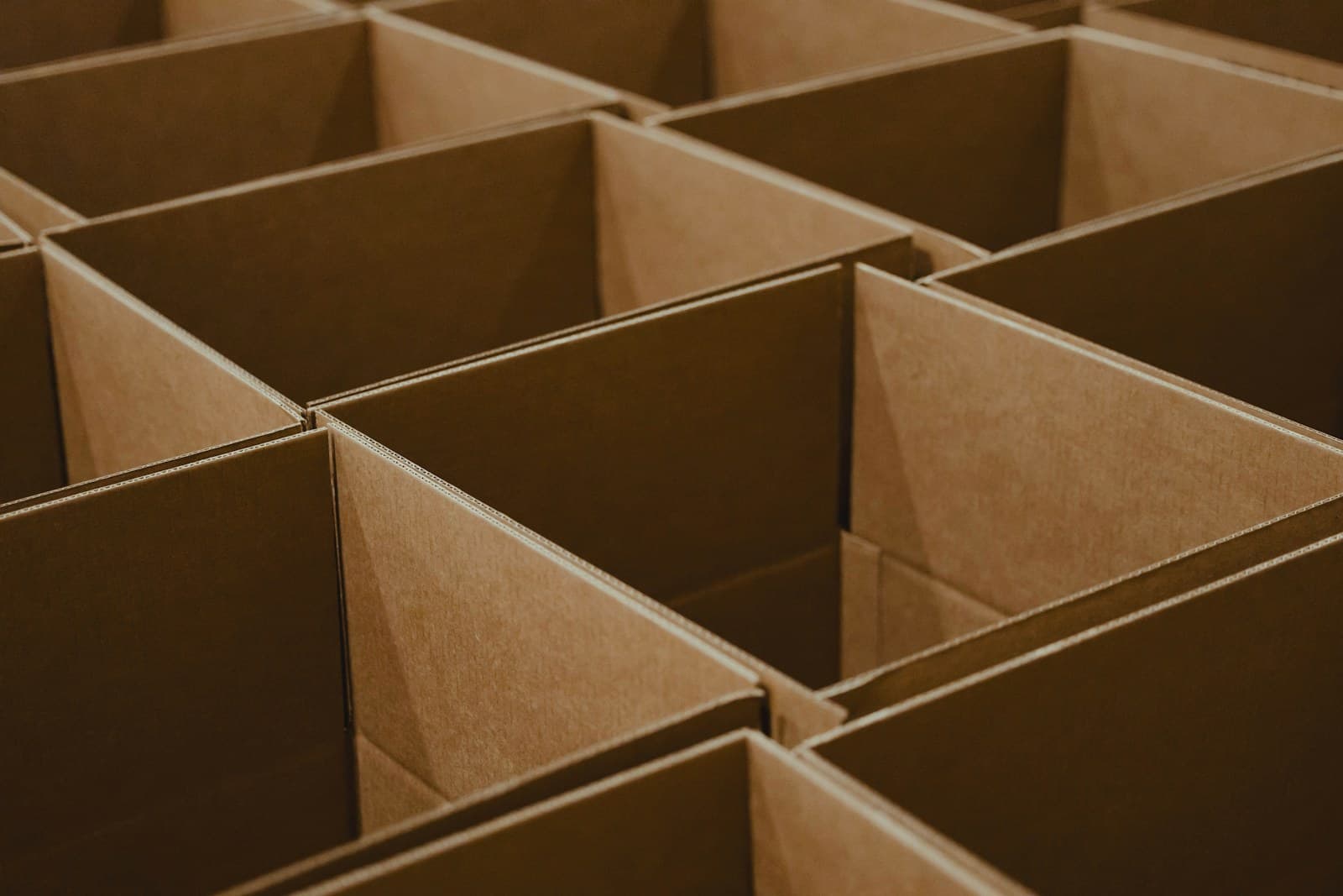 Rows of empty, open cardboard boxes, ready to be packed.